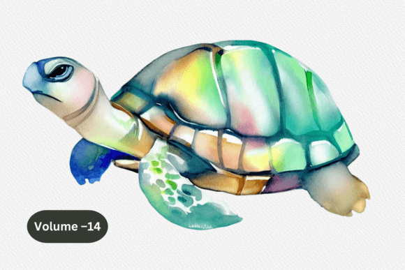 Download Watercolor Sea Turtle Sublimation PNG - Sea turtle Collection